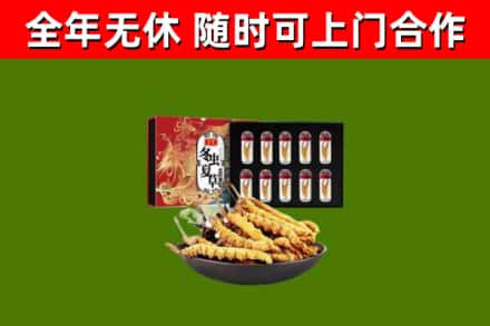 桂林市回收冬虫夏草价格
